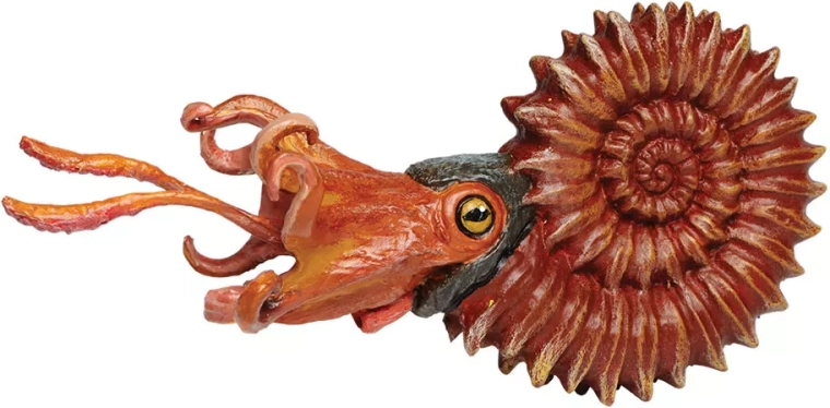 Safari Ltd. ammonitesz – kézzel festett figura