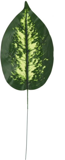 12 darabos mű difenbachia ágvég készlet