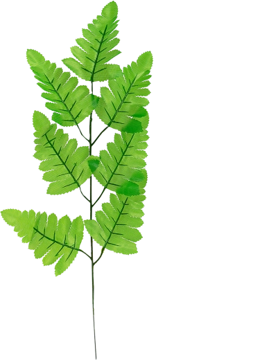 Szimmetikus páfránylevél 40 cm ágon