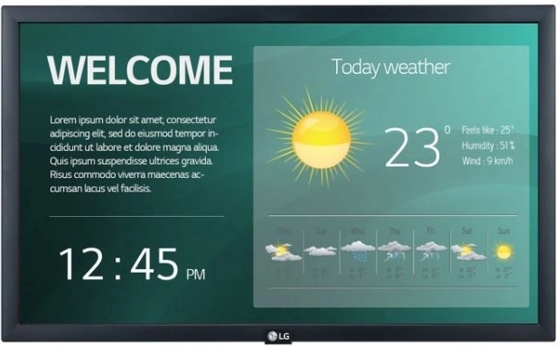 LG 22" professzionális monitor 22SM3G