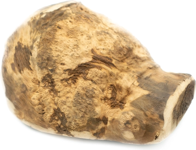 Explorer Dog természetes hanga gyökér rágó játék kutyáknak XL