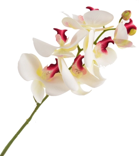 Mű orchidea fehér 72 cm
