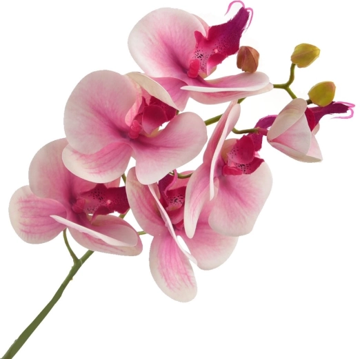 Mű orchidea rózsaszín 72 cm