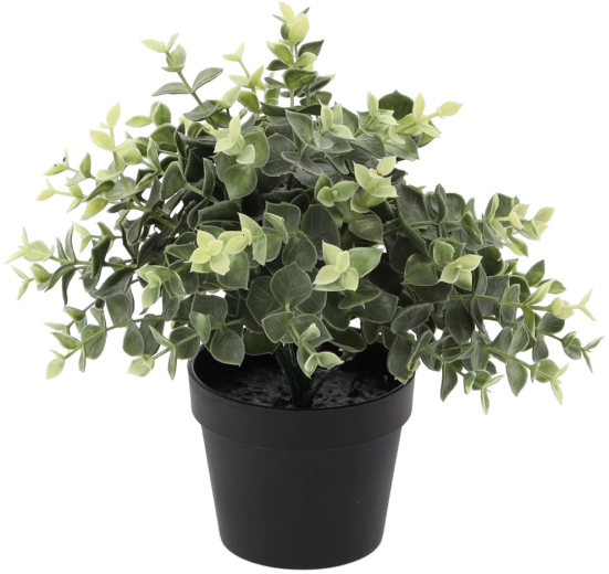 Mű eukaliptusz virágcserépben 22 cm