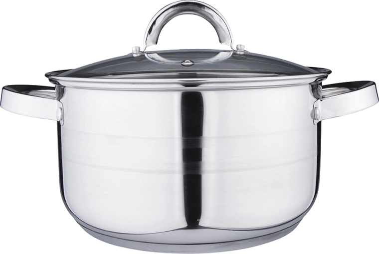 REMO fazék fedővel 4,7 l, 22 cm