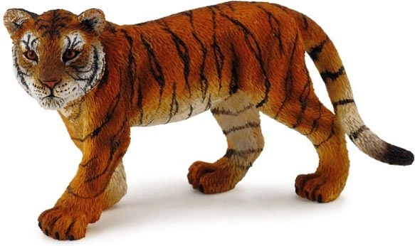 Collecta tigris kölyök állva