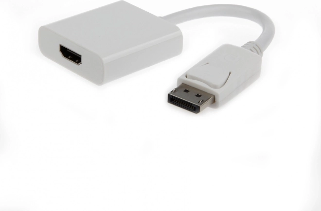 DisplayPort-HDMI adapter, 10 cm