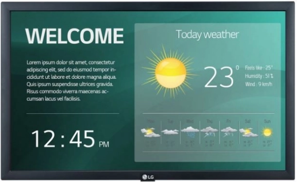 LG 22" professzionális monitor 22SM3G