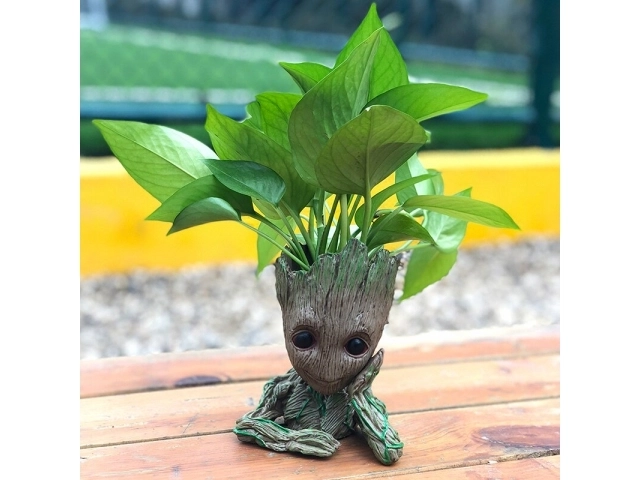 Groot virágcserép