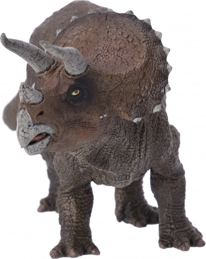 Tökéletes minden korosztály számára