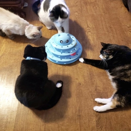 Egyszerű összeszerelés