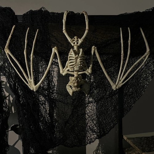 Tízledár új zéland őszi kalapács dekoráció halloweenre