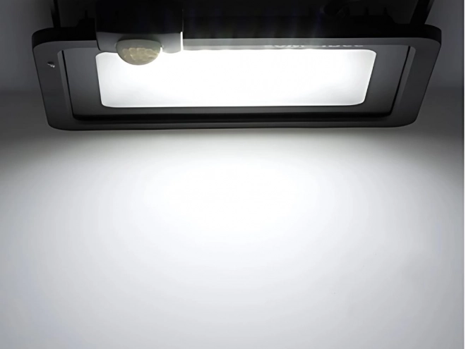 Kültéri vízálló LED reflektor 30W 6000K