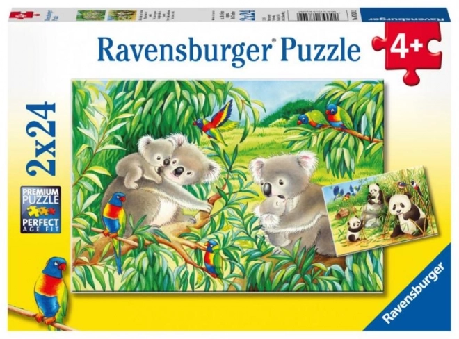 Ravensburger édes koalák és pandák puzzle 2x24 darabos