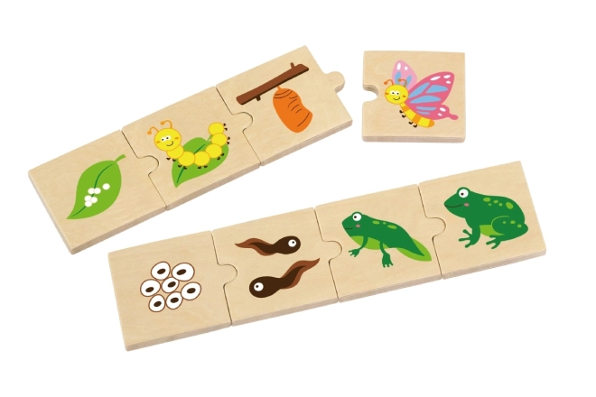 VIGA fa puzzle növekvő állatok és növények