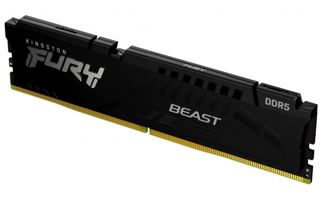 Fury Beast Black DDR5 memória 32GB