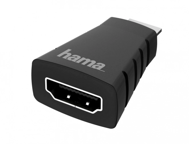 HDMI-mini HDMI Adapter