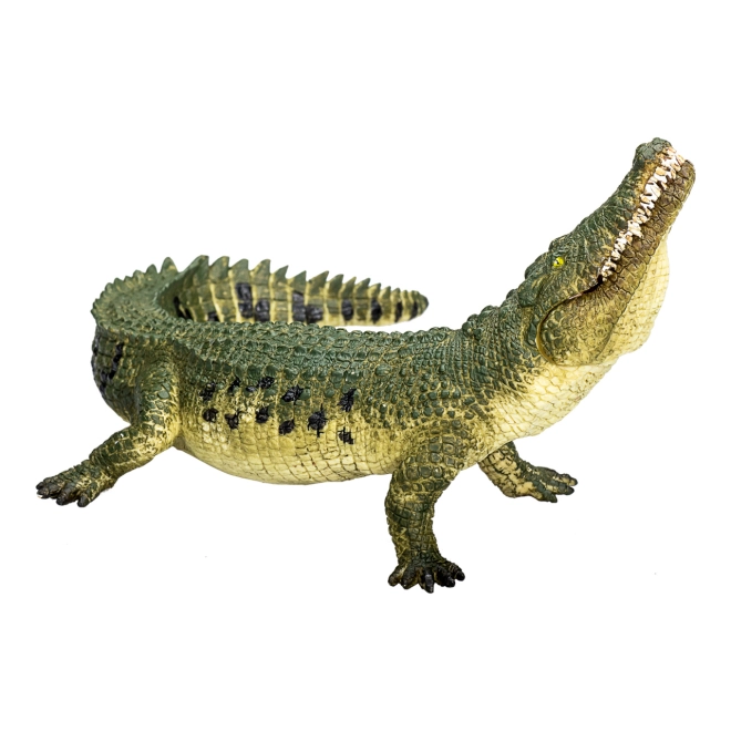 Realisztikus kidolgozás