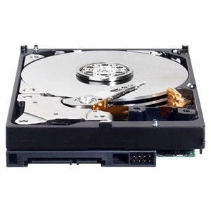 Western Digital Blue 1TB merevlemez