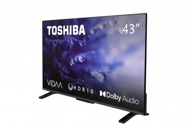 43 hüvelykes LED TV 43LV2E63DG