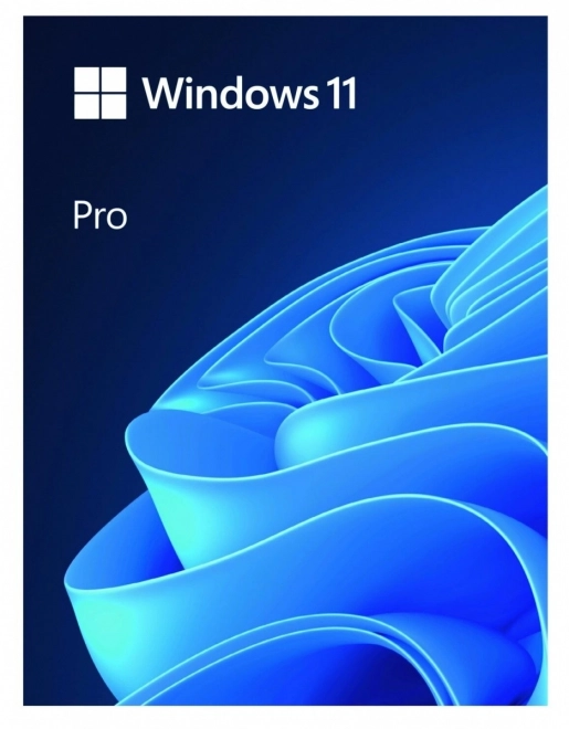 Windows 11 Pro 64bit USB Meghajtó