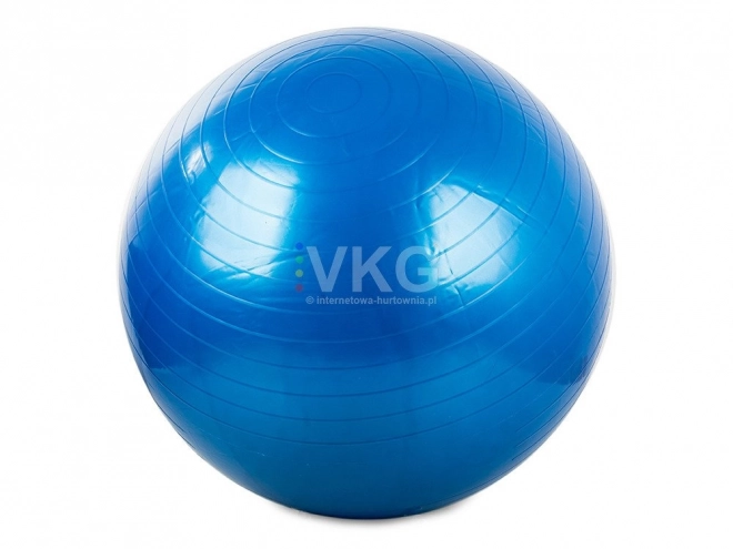 Gimnasztikai labda pumpával 65 cm