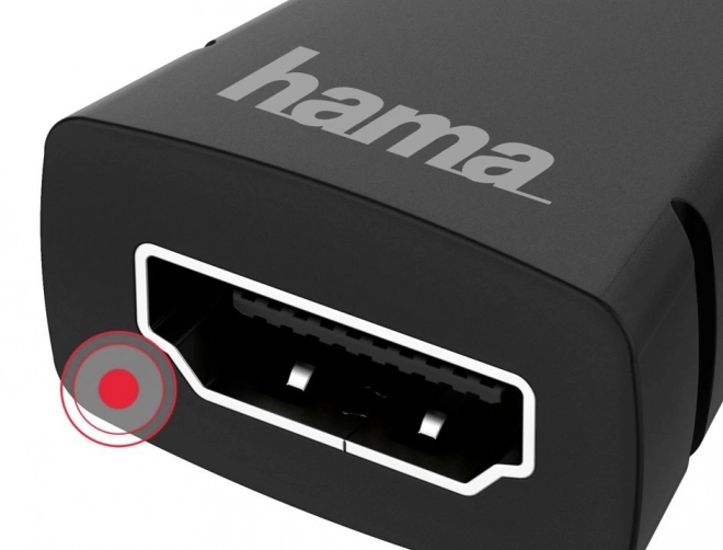 HDMI-mini HDMI Adapter