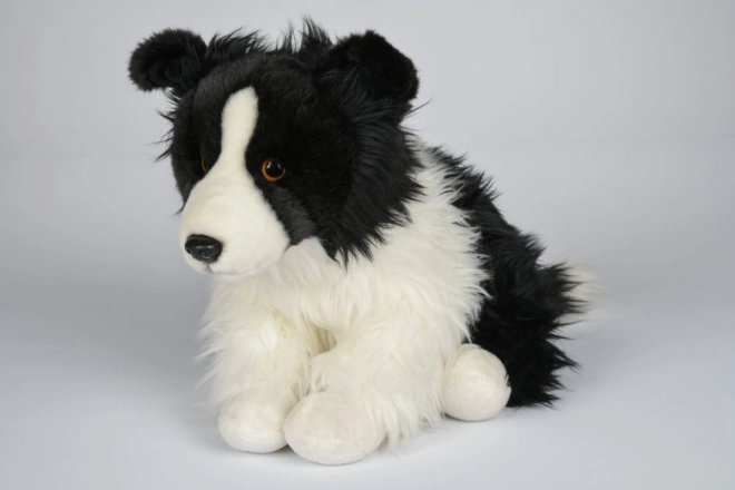 Puha border collie 35 cm