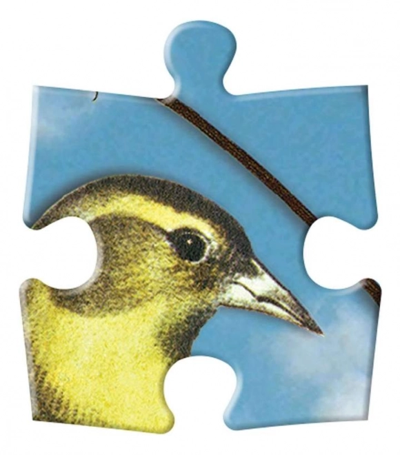 kétoldalas puzzle madárszimfónia 250 darabos