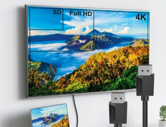 DisplayPort kábel Ultra HD 4K 3m