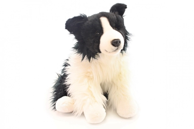 Puha border collie 35 cm