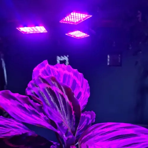 Kétcsatornás LED spektrum növekedéshez és virágzáshoz