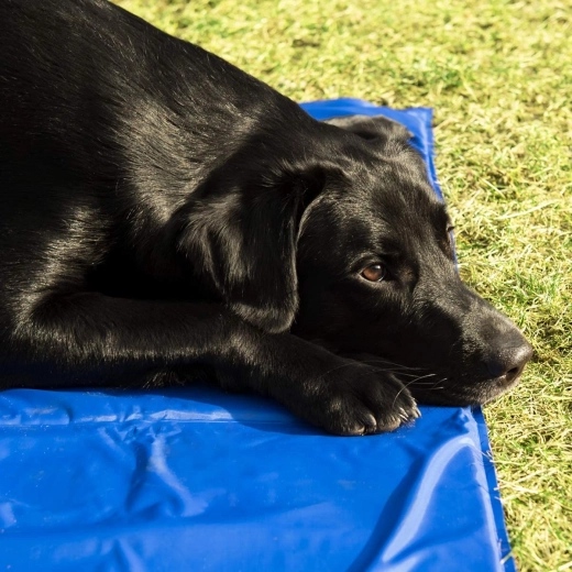 Összehajtható, könnyű és utazáshoz ideális