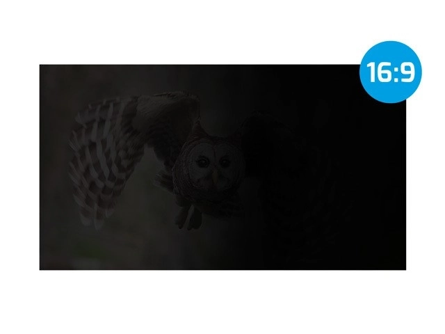 RODO Owl adatvédelmi szűrő 21,5 hüvelyk 16:9