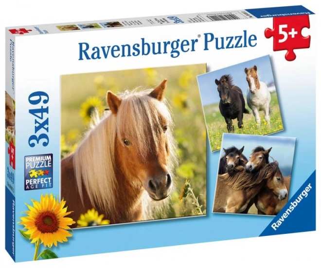 Ravensburger lovas puzzle 3x49 darab