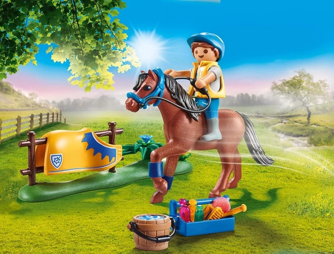 Playmobil Country gyűjthető walesi póni