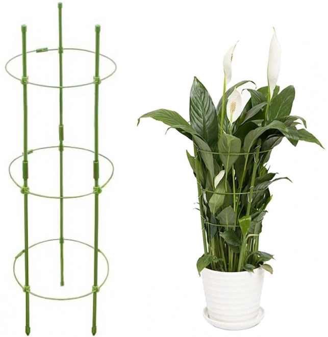 Gyűrűs növénytámasz 60 cm
