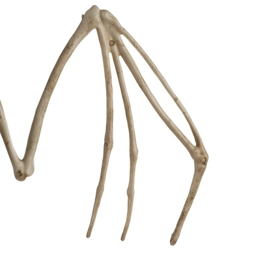 Tízledár új zéland őszi kalapács dekoráció halloweenre