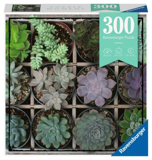 Puzzle Növényi Elemei 300 db Ravensburger
