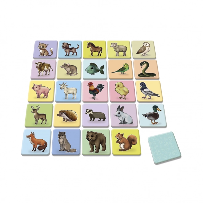 Dino Toys Háziállatok Memóriajáték