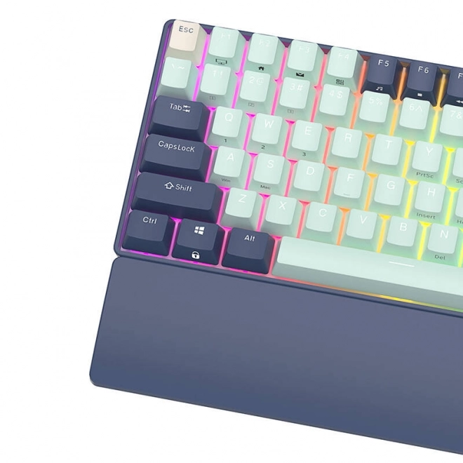 Mechanikus billentyűzet royal kludge rk96 rgb barna kapcsoló