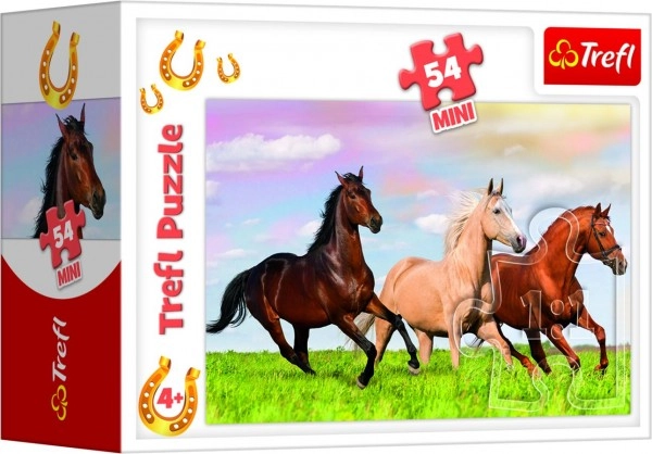 Szép lómotívumok
