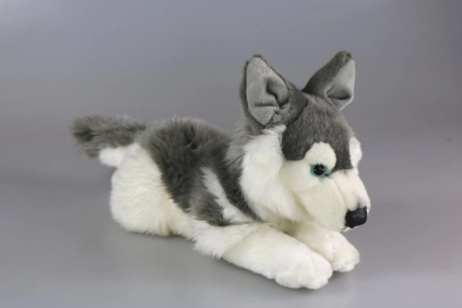 Plüss Husky kutya 34 cm