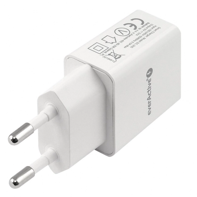 Hálózati töltő 1xUSB 2,4A 12W