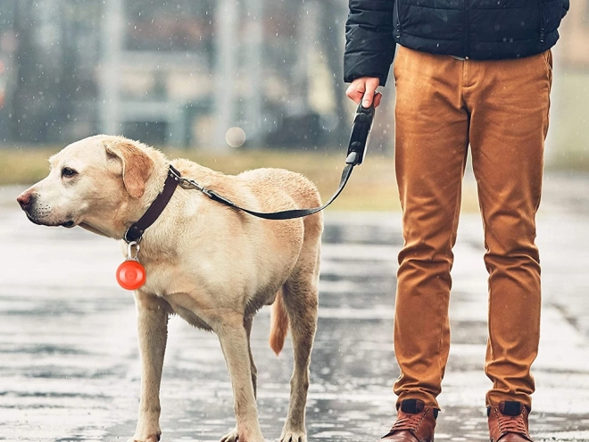 Világító LED nyakörv medál macskáknak és kutyáknak