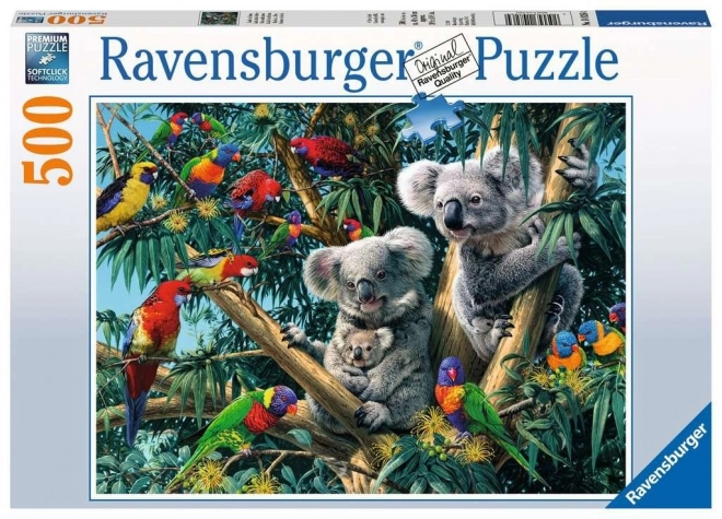 Koala puzzle a fa tetején 500 darabos