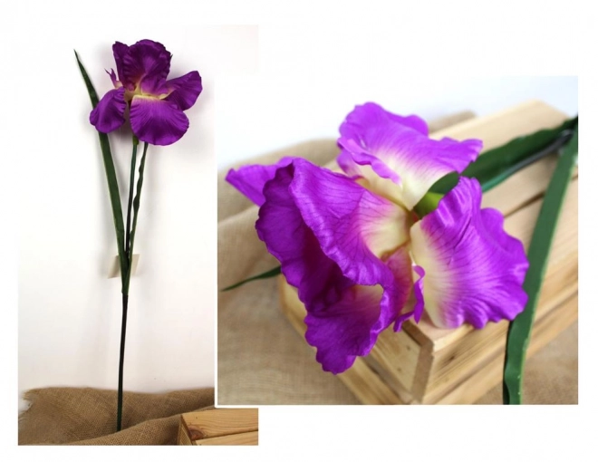 Művirág Írisz lila 68 cm