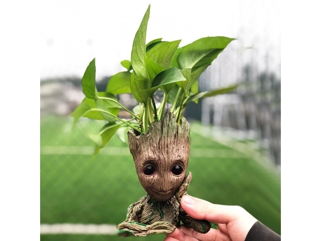 Groot virágcserép