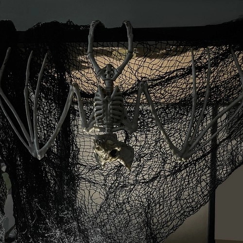 Tízledár új zéland őszi kalapács dekoráció halloweenre
