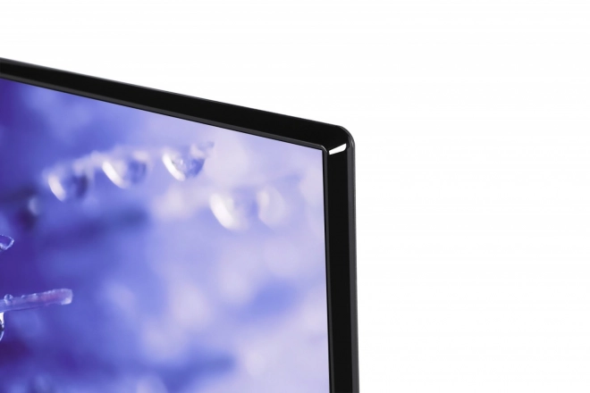 43 hüvelykes LED TV 43LV2E63DG